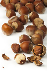 Image showing Closeup raw hazelnuts white isolated