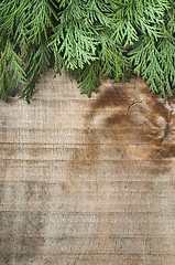 Image showing Wood and fir branches background