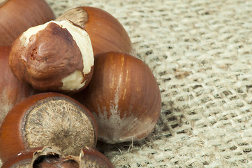 Image showing Closeup raw hazelnuts on burlap