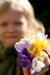 Image showing Spring girl