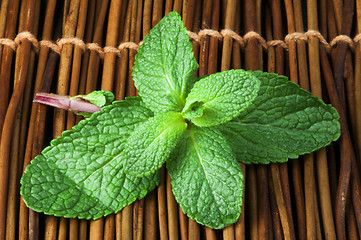 Image showing Mint leaves on wooden base