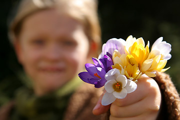 Image showing Spring girl