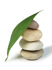 Image showing Stacked stones and green leafs