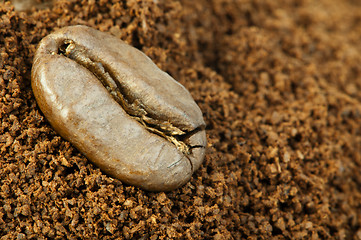 Image showing Coffee beans and ground coffee