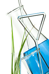 Image showing Green plants in laboratory equipment