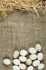 Image showing Organic white domestic eggs on sackcloth and straw