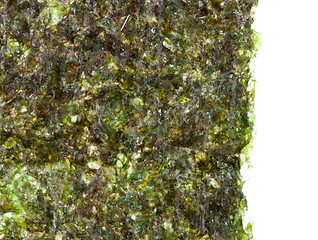 Image showing Green algae nori