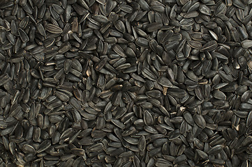 Image showing Sunflower seed