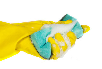 Image showing Sponge for washing dishes