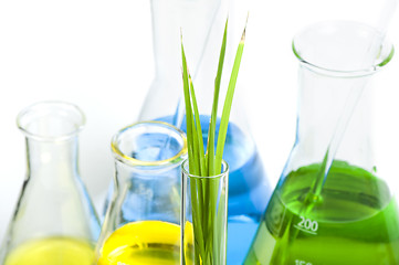 Image showing Green plants in laboratory equipment