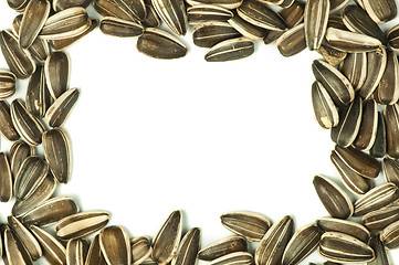 Image showing Raw sunflower seed