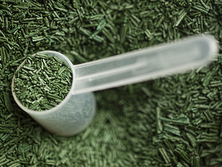 Image showing Spirulina superfood