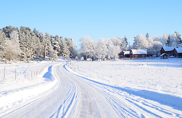 Image showing White frost