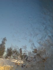 Image showing Frost in the sky