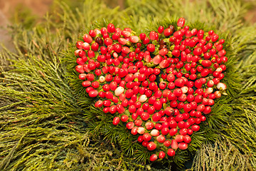 Image showing Heart of the mountain ash