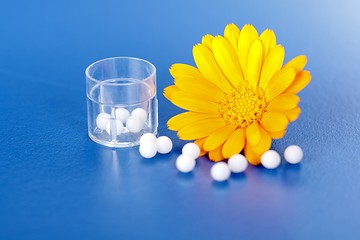 Image showing Calendula Officinalis and homeopathic pills