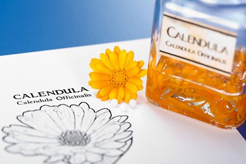 Image showing Calendula Officinalis sheet, flower and plant extract