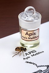 Image showing Apis Mellifica sheet, the bee and poison extract