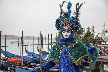 Image showing Blue Venetian Disguise