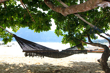 Image showing Beautiful bay of Phi Phi island Thailand