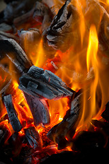 Image showing blaze fire flame 