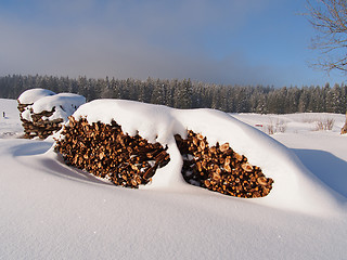 Image showing snow covered pile of logs