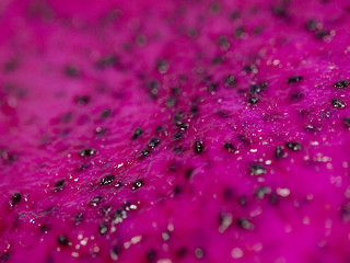 Image showing Dragon fruit background