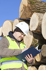 Image showing Forester writing near  at the log pile