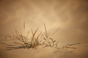 Image showing Texture sand