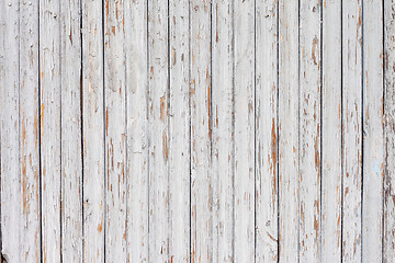 Image showing grungy white background of natural wood