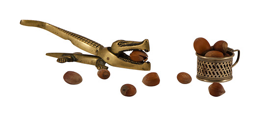 Image showing steel crocodile nut crush tool cup cobnut 