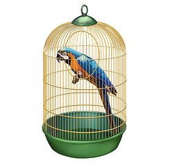 Image showing Parrot in a retro cage. macaw in bird cage