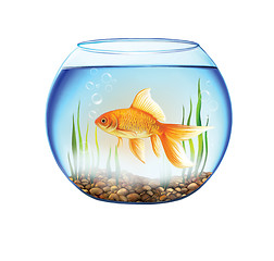 Image showing Gold fish in a Round aquarium, fish bowl