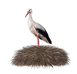 Image showing stork in its nest. Spring. illustration on white background.