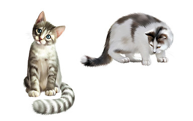 Image showing Small gray kitten, adult cat alert looking down