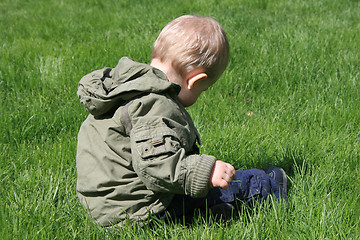 Image showing Child in a meadow