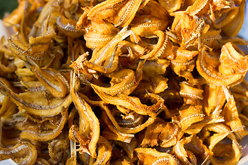 Image showing Dry fish in Thailand