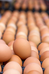 Image showing Eggs at the market