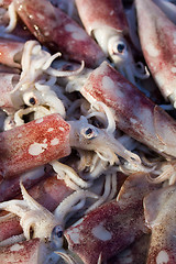 Image showing Fresh squids display in the basket fresh seafood in the market