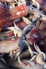 Image showing Fresh squids display in the basket fresh seafood in the market