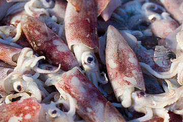 Image showing Fresh squids display in the basket fresh seafood in the market