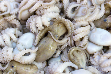 Image showing Fresh squids display in the basket fresh seafood in the market