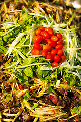 Image showing Spicy chilli sauce made from crab and herbal ingradients