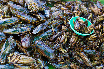 Image showing Insects as snack food in Thailand