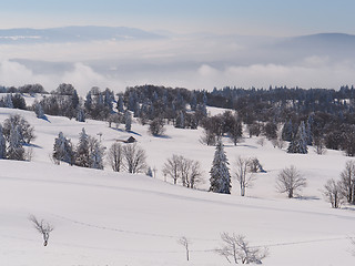 Image showing Jura Mountain in Winter, mont d or area