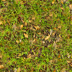 Image showing Forest Soil. Seamless Texture.