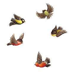 Image showing Flying bullfinches and tits.