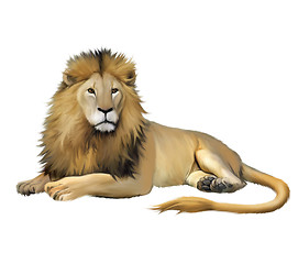 Image showing Lying Lion. Panther leo