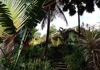 Image showing caribbean scenery