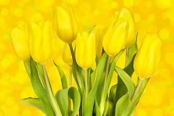 Image showing Tulips on the  blurry background